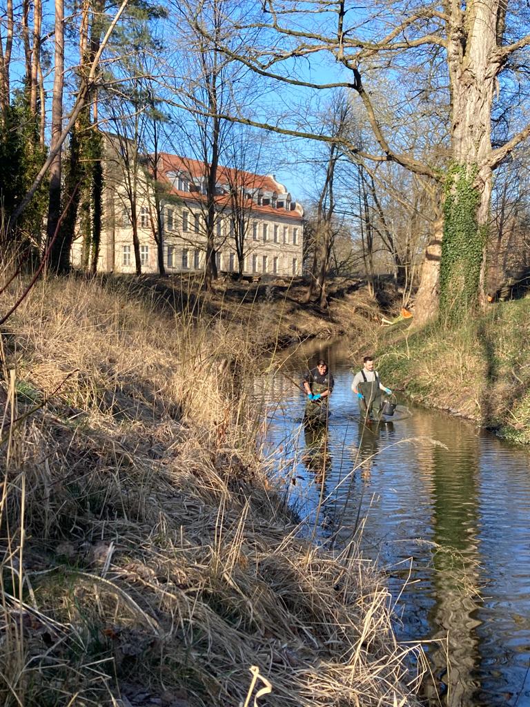 Fr&uuml;hjahrsputz am Schloss F&uuml;rstenberg/Havel