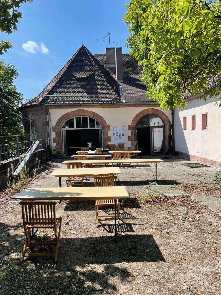 Comeback f&uuml;r den N&uuml;rnberger Marientorzwinger!
